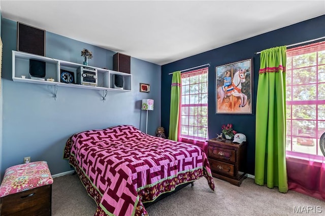 5524 Providence Place Dr, Saint Louis, MO 63129 - photo 16