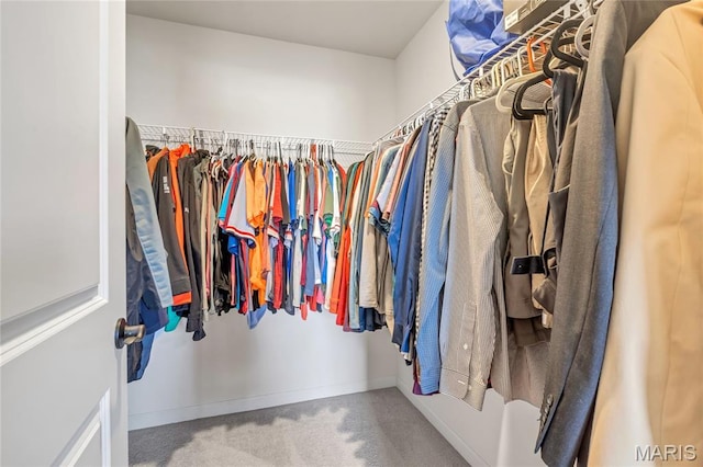130 Baycrest Ct, Saint Charles, MO 63301 - spacious closet featuring carpet flooring