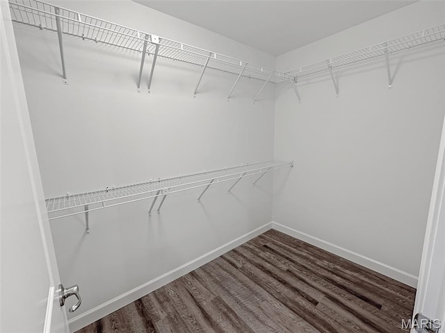 9 Sonata Ln, Troy, IL 62294 - walk in closet featuring wood finished floors