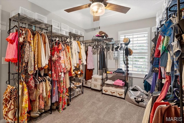 6521 Woodland Dr, Cedar Hill, MO 63016 - spacious closet with ceiling fan and carpet flooring