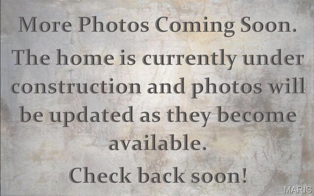 7 Sonata Ln, Troy, IL 62294 - photo 34