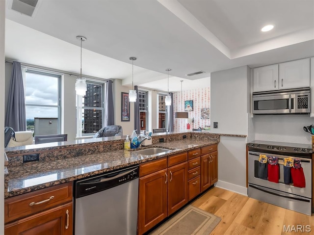 314 N Broadway Unit 1107, Saint Louis, MO 63102 - kitchen featuring stainless steel appliances, brown cabinets, light wood-style floors, and decorative light fixtures