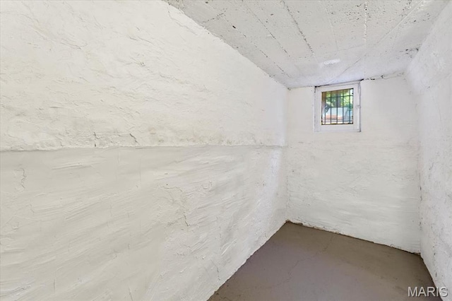 5140 Christy Ave, Saint Louis, MO 63116 - view of below grade area