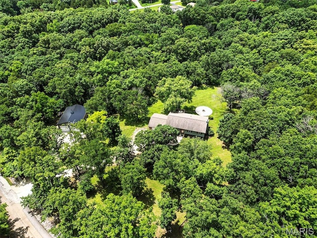 4472 Liberty Ridge Rd, De Soto, MO 63020 - bird's eye view of a forest