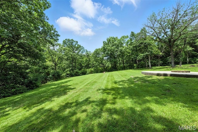 4472 Liberty Ridge Rd, De Soto, MO 63020 - view of green lawn