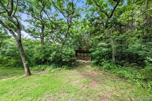 4472 Liberty Ridge Rd, De Soto, MO 63020 - view of yard featuring a view of trees