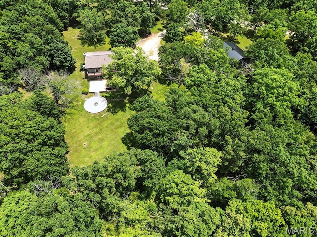 4472 Liberty Ridge Rd, De Soto, MO 63020 - view of subject property with a heavily wooded area