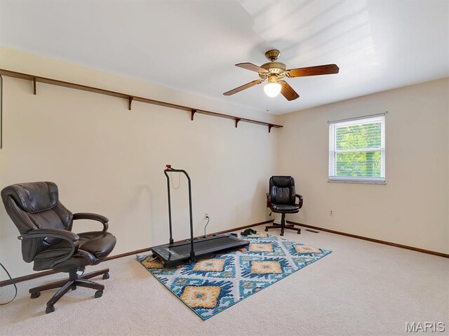 101 Strecker Rd, Ellisville, MO 63011 - photo 28
