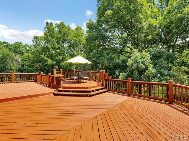 101 Strecker Rd, Ellisville, MO 63011 - photo 40