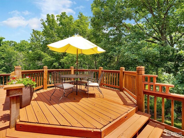 101 Strecker Rd, Ellisville, MO 63011 - photo 42