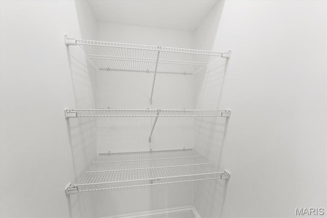 10401 Briarbend Dr Unit 2, Saint Louis, MO 63146 - view of pantry