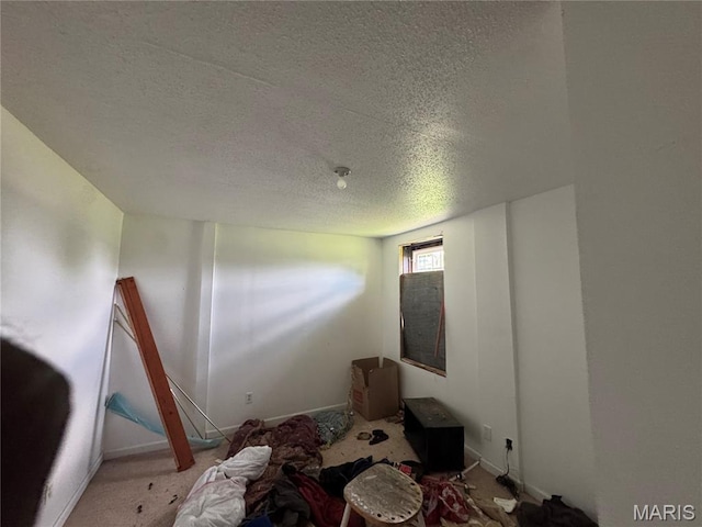 spare room with a textured ceiling and carpet flooring
