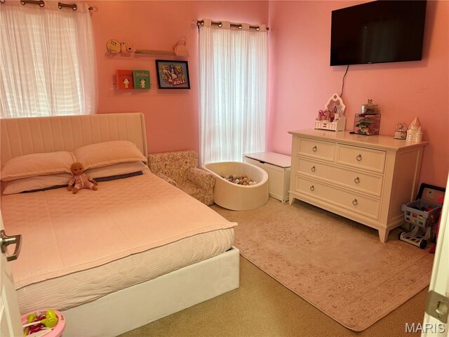 25 Kassebaum Ln Unit 203, Mehlville, MO 63129 - photo 19