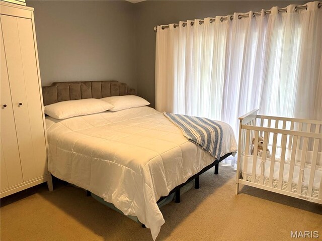 25 Kassebaum Ln Unit 203, Mehlville, MO 63129 - photo 20