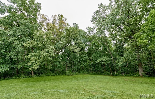 3989 Kim Kelly Dr, Harvester Township, MO 63304 - view of green lawn