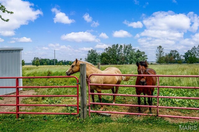 13649 Pocahontas Rd, Highland, IL 62249
