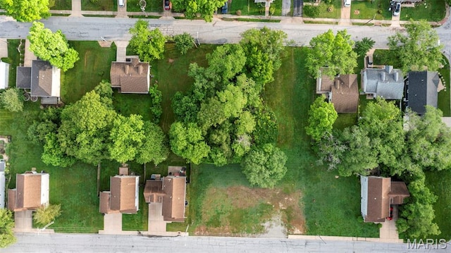 343 Memphis St, Kirkwood, MO 63122 - photo 6