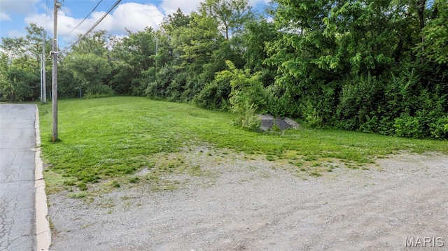 343 Memphis St, Kirkwood, MO 63122 - photo 13