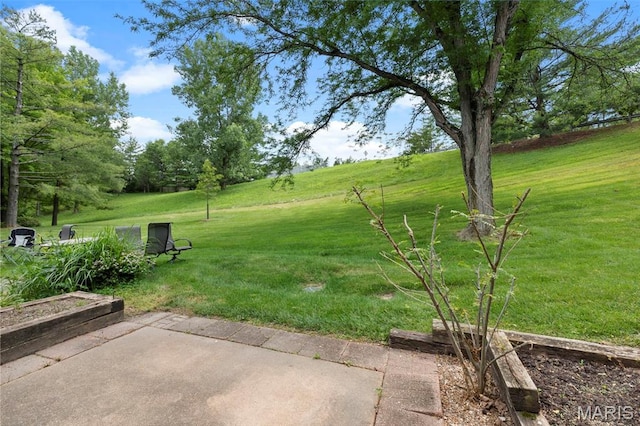 13176 Royal Pines Dr, Maryland Heights, MO 63146 - photo 14