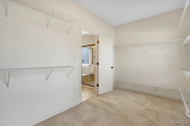 714 Oriental Lily Dr, Ofallon, MO 63366 - walk in closet with carpet