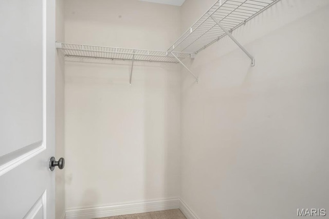 714 Oriental Lily Dr, Ofallon, MO 63366 - view of spacious closet