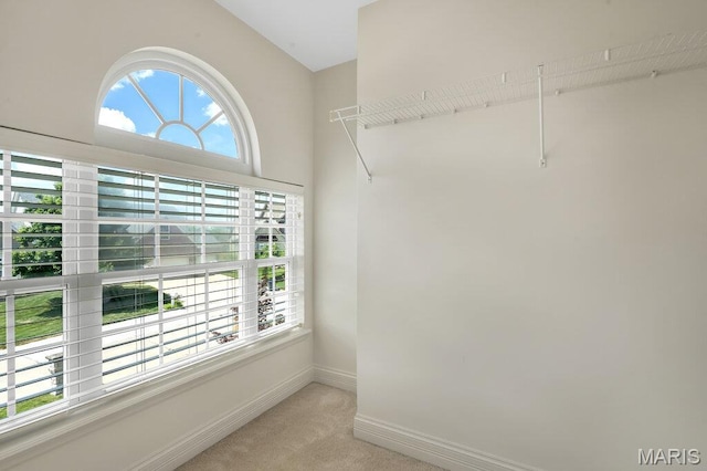 714 Oriental Lily Dr, Ofallon, MO 63366 - spacious closet featuring light colored carpet