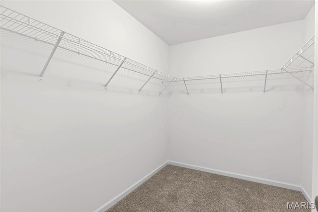 1005 Taylor Green Dr, Union, MO 63084 - photo 18