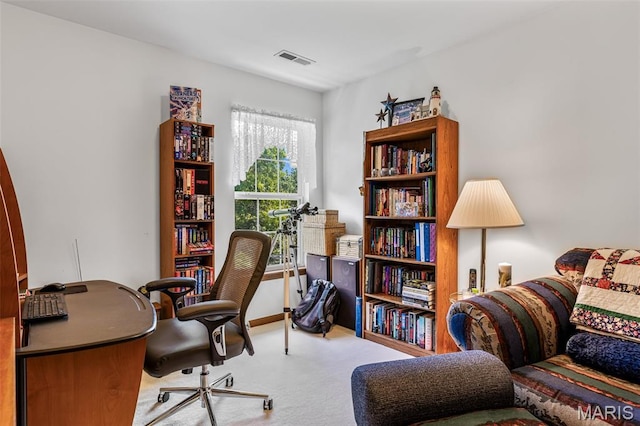 24 Adventura Dr, Festus, MO 63028 - office with carpet flooring