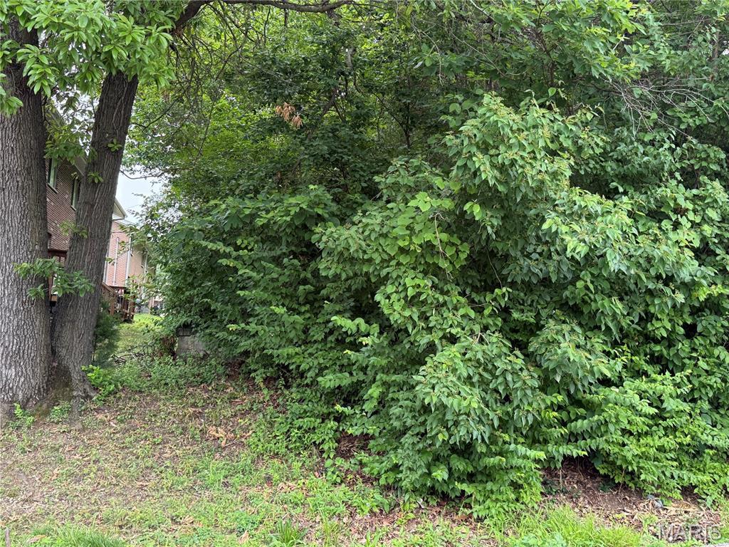 2454 Prouhet Ave, Saint Louis, MO 63114