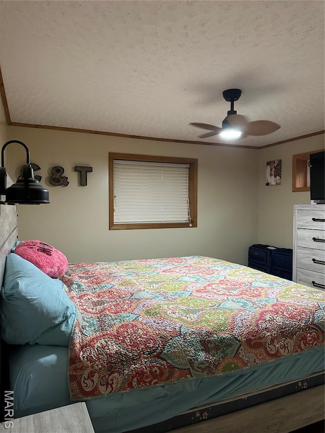 1279 Rehmert Rd, Bland, MO 65014