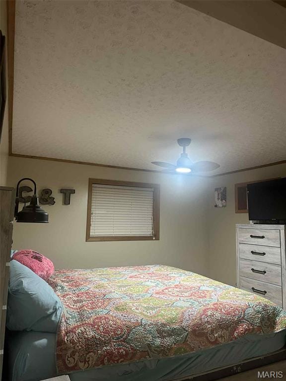 1279 Rehmert Rd, Bland, MO 65014
