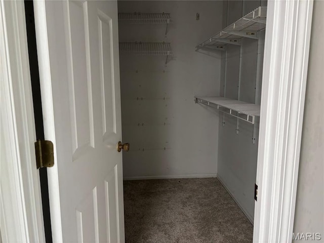 958 Kinsale Dr, Manchester, MO 63021 - spacious closet with carpet flooring
