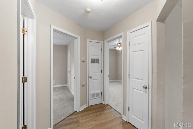 9750 Lorna Ln, Riverview, MO 63136 - photo 9