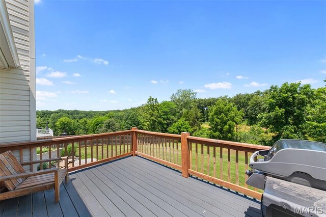 7 Timberline Dr, Moscow Mills, MO 63362 - photo 38