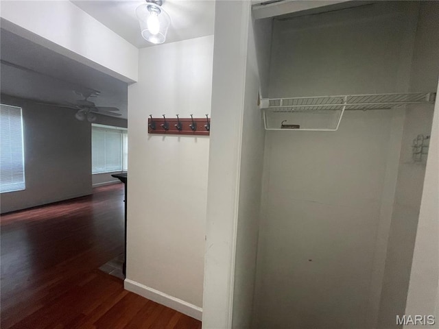 2632 Park Ave, Saint Louis, MO 63104 - photo 29