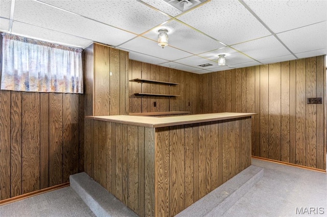 2844 Deborah Ann Dr, Arnold, MO 63010 - indoor dry bar with wood walls, light colored carpet, and a drop ceiling