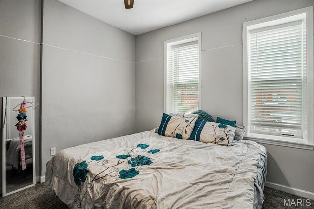 3857 Virginia Ave, Saint Louis, MO 63118 - photo 23