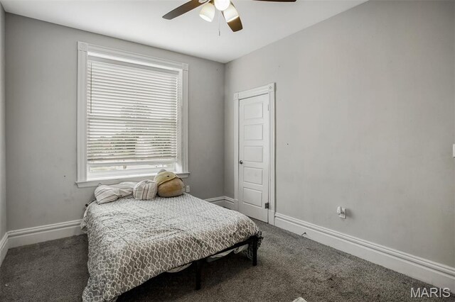 3857 Virginia Ave, Saint Louis, MO 63118 - photo 25