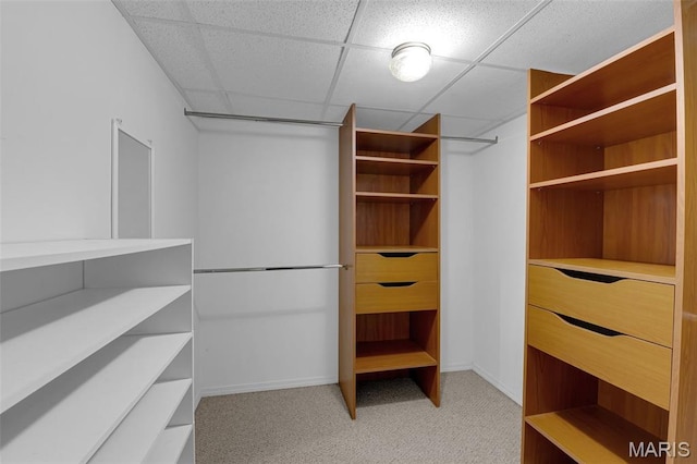 818 Sugar Valley Ct, Saint Peters, MO 63376 - spacious closet featuring light colored carpet and a paneled ceiling