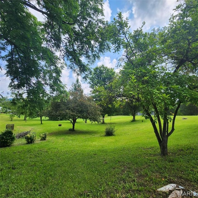 6380 Dolde Rd, Cedar Hill, MO 63016 - view of grassy yard