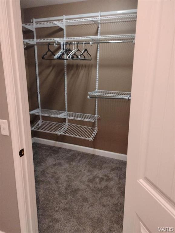 1107 Daffodil St, Sikeston, MO 63801 - walk in closet with carpet