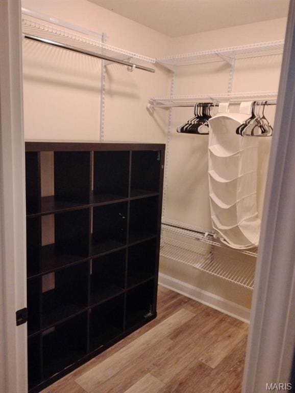 1107 Daffodil St, Sikeston, MO 63801 - spacious closet with wood finished floors