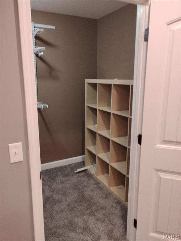 1107 Daffodil St, Sikeston, MO 63801 - walk in closet featuring carpet flooring