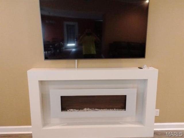 1107 Daffodil St, Sikeston, MO 63801 - detailed view of a fireplace