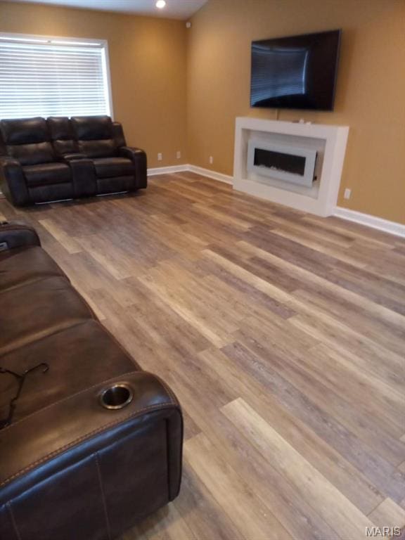 1107 Daffodil St, Sikeston, MO 63801 - living room with a fireplace and wood finished floors