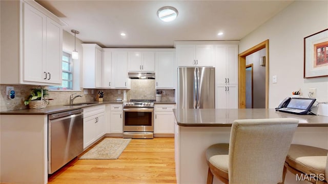 9334 Litzsinger Rd, Rock Hill, MO 63144 - kitchen with stainless steel appliances, under cabinet range hood, light wood-type flooring, a breakfast bar, and white cabinetry