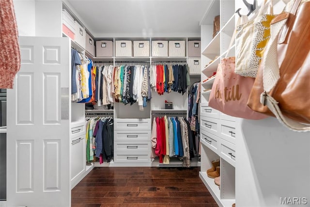 4304 Austin Pass Ct, Saint Charles, MO 63304 - walk in closet with dark wood finished floors