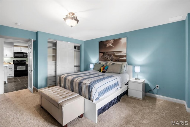 4304 Austin Pass Ct, Saint Charles, MO 63304 - bedroom with carpet floors and a closet