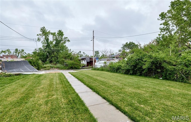 4275 E Ashland Ave, Saint Louis, MO 63115 - view of grassy yard