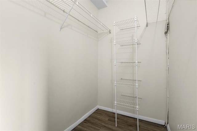 4466 W Pine Blvd Unit 7D, Saint Louis, MO 63108 - spacious closet with wood finished floors
